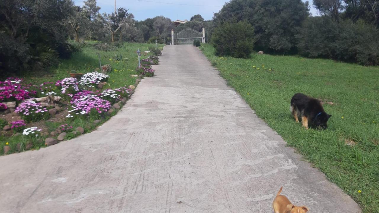 CanaiLa_Casa_Di_ Willy别墅 外观 照片